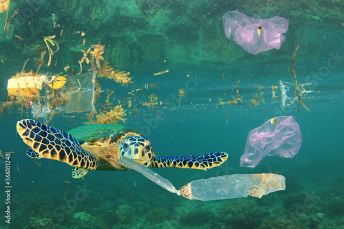 Photography Plastic pollution in ocean environmental problem