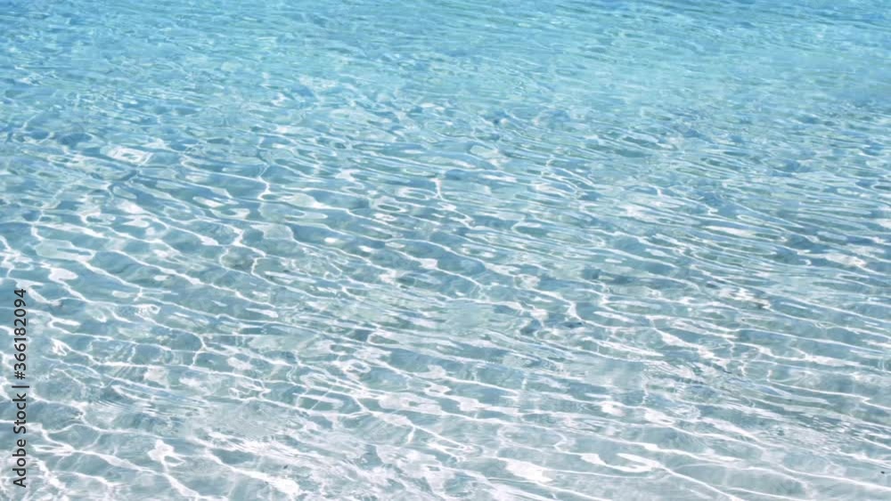 Looking through crystal clear water at Lake McKenzie (Fraser Island, Australia) Looking through crystal clear water at Lake McKenzie (Fraser Island, Australia)