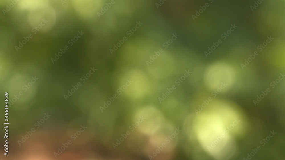 Obraz premium Backdrop the distribution of light abstract background art colors bokeh and blur.
