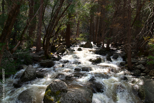 Waterfall rushing down a mountain in the middle of a forest