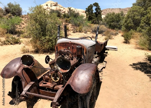 Joshua Tree Relic