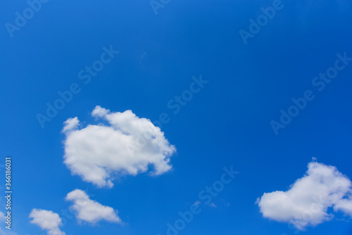Rabbit shaped cloud in a blue sky with copy space.