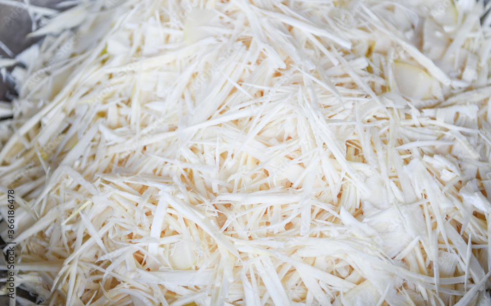 Bamboo shoot sliced shredded for cooked food - bamboo shoots asian thailand Bamboo shoot sliced shredded for cooked food - bamboo shoots asian thailand