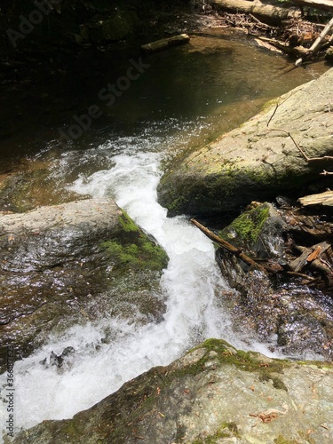 waterfall in the forest