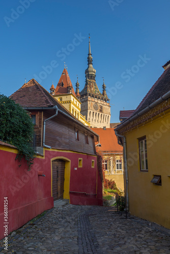 A beautiful alley outside of Sighisoara city wall