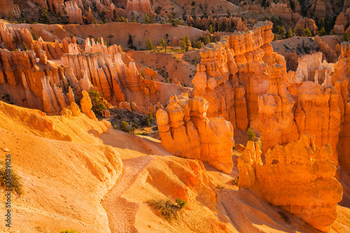 One of many trails in Bryce Canyon National Park, Utah. The park features a collection of giant natural amphitheaters and is distinctive due to geological structures called hoodoos.