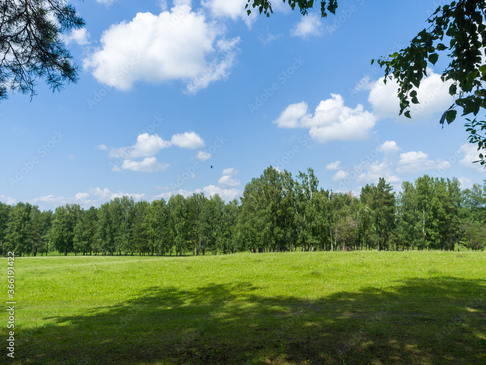 Green field and forest. Clouds in the blue sky. Summer sunny day Green field and forest. Clouds in the blue sky. Summer sunny day