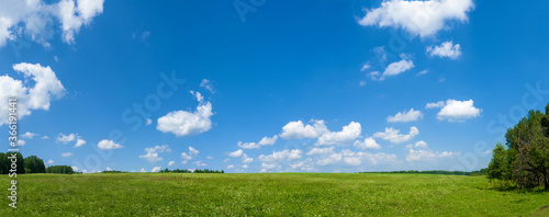 Panorama green meadows and fields. White clouds in the blue sky. Summer sunny day