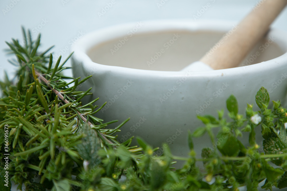 Rosemary and Mint in front of White Mortar and Pestle on White Background