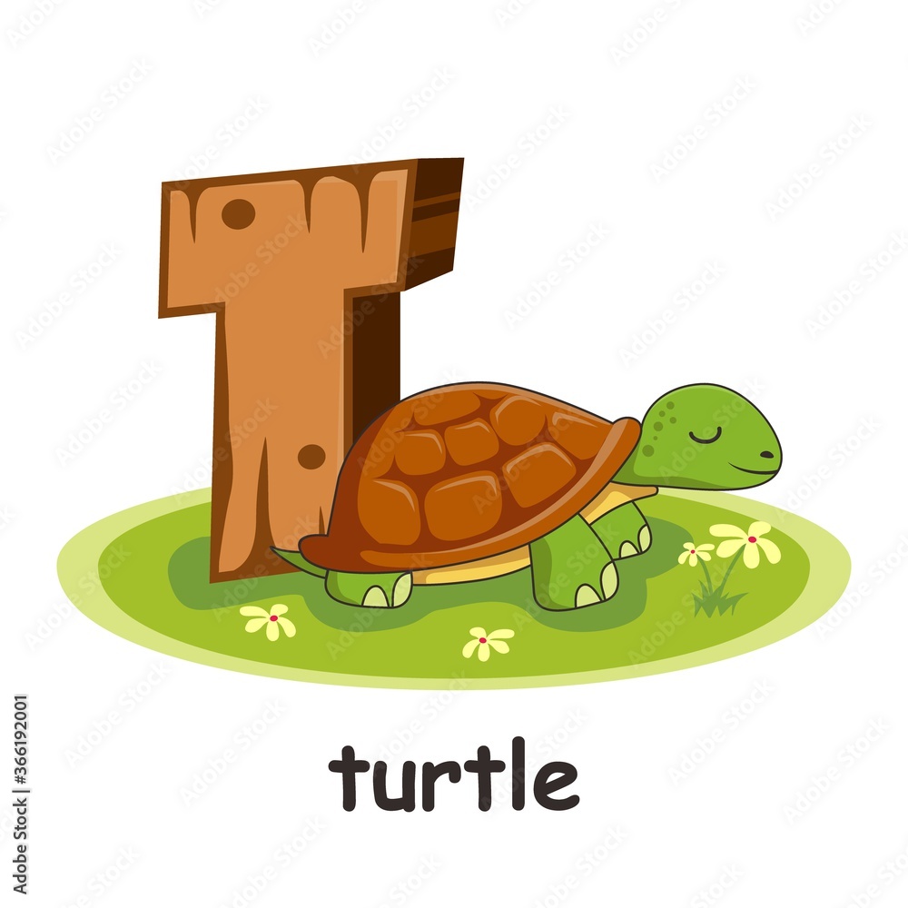 Obraz premium T for Turtle Animals Wooden Alphabet