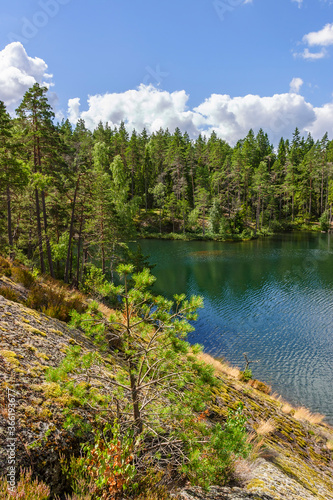 Fototapeta Naklejka Na Ścianę i Meble -  Forest lake with a pine tree at a rock crevice