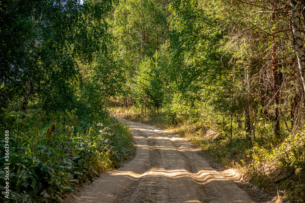 Fototapeta premium Forest dirt roads among trees and fields