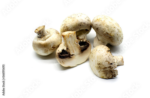 old, not fresh champignon mushroom