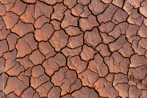 Dry soil ground cracks background texture in drought, Top view