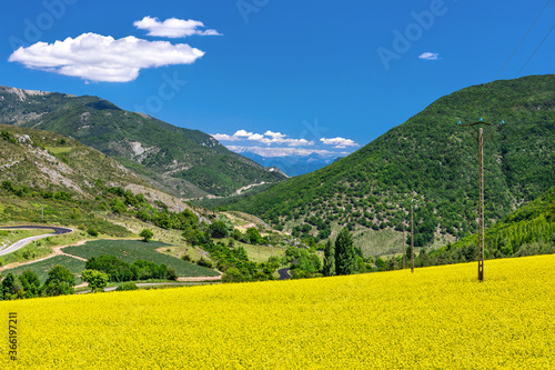 Wide angle view of a french rural valley  with a yellow field of rape flowers in the foreground  and sloping hills in the background  against a blue summer sky with puffy clouds