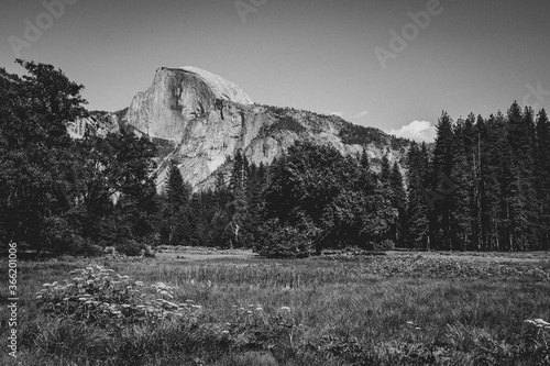 Half Dome, Yosemite CA
