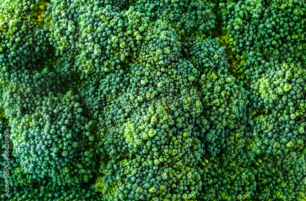 background and texture of broccoli cabbage