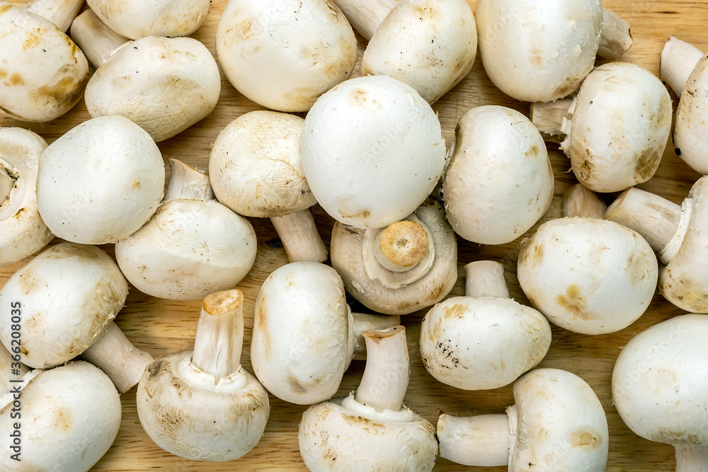 white raw mushrooms champignons background Healthy food. on wooden background white raw mushrooms champignons background Healthy food. on wooden background
