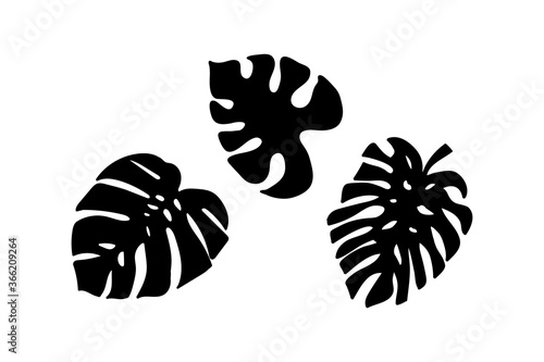 Leaf of monstera icon isolated on white. Doodle stencil. Vector stock illustration. EPS 10