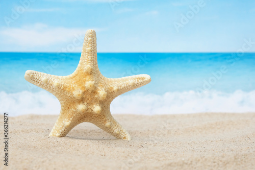 Fototapeta Naklejka Na Ścianę i Meble -  Closeup beautiful starfish on white sand beach with blue sea in sunny day, selective focus