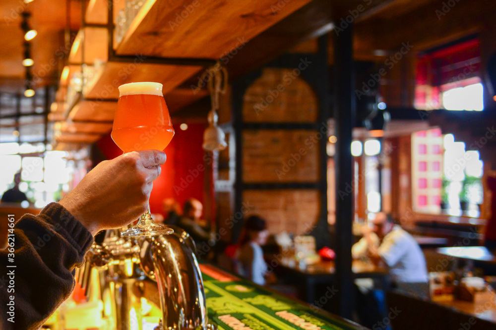 Pouring beer. Cropped image of bartender poring beer into the beer glass. Copy space banner.