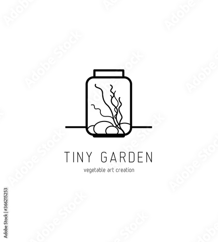 jardin miniature en bocal