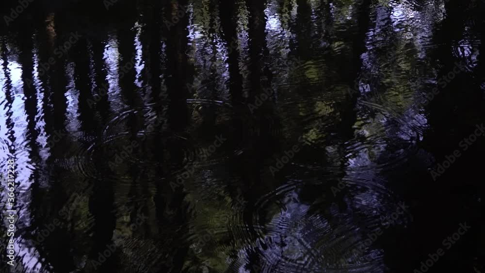 Rain dropping into dark river stream Rain dropping into dark river stream