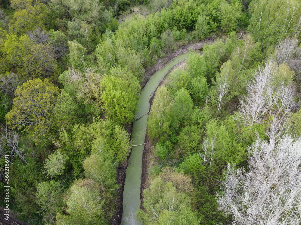 A small river among the trees in spring, aerial view. Forest river.