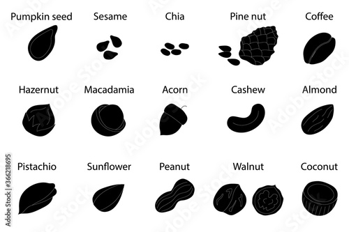 Black color silhouette with different nuts and seeds. Organic healthy food concept. Vector icons for your design