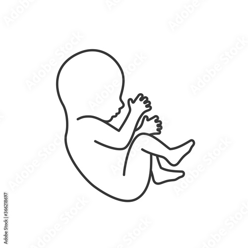 Fetus Icon Isolated on White Background. Line Style Vector