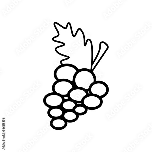 Grape line icon on a white background