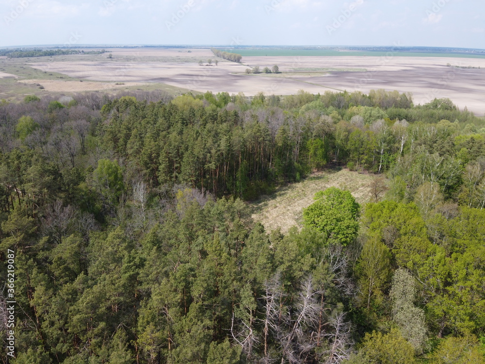 A place of felling, aerial view. Devastated land, clearing.