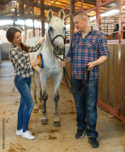Positive couple of farmers cleaning horse while standing at stabling indoor