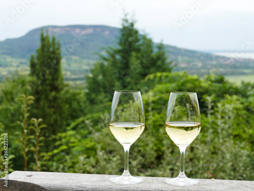 Two glasses of fine riesling wine in the Badacsony region in Hungary with volcanic hill Badacsony in the background