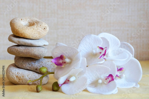 white orchid flower and natural stone pyramid, relaxing zen background