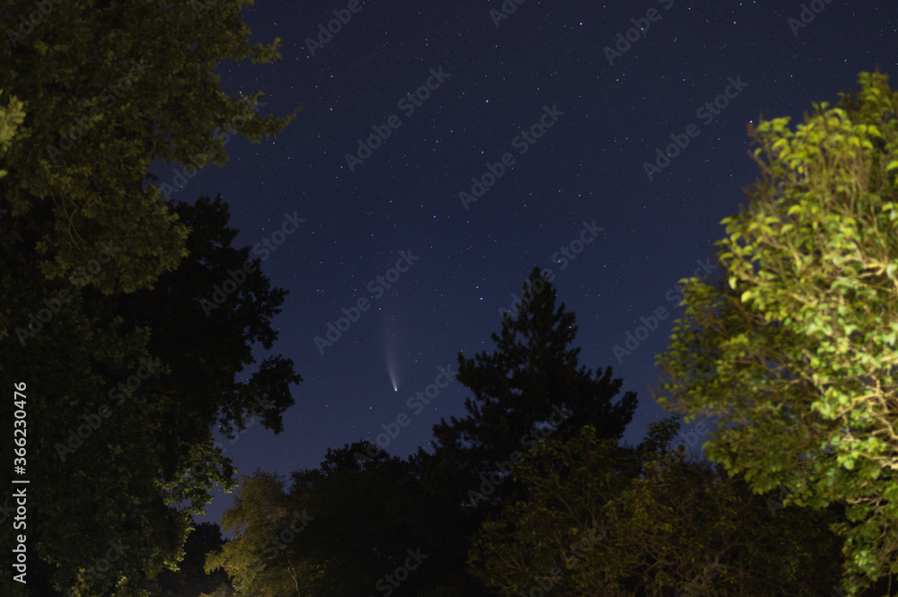 Naklejka premium shots in the night sky of the comet neowise with many other stars in the sky and trees can be seen in the background