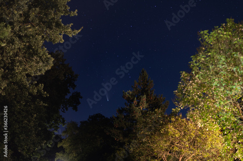 shots in the night sky of the comet neowise with many  other stars in the sky and trees can be seen in the background