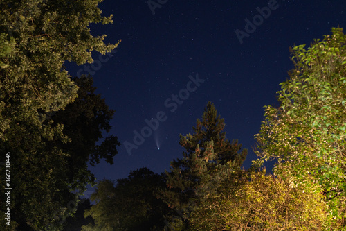 shots in the night sky of the comet neowise with many  other stars in the sky and trees can be seen in the background