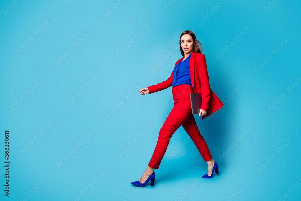 Full length body size profile side view of her she nice-looking attractive pretty gorgeous luxury office lady walking carrying laptop isolated over bright vivid shine vibrant blue color background Full length body size profile side view of her she nice-looking attractive pretty gorgeous luxury office lady walking carrying laptop isolated over bright vivid shine vibrant blue color background