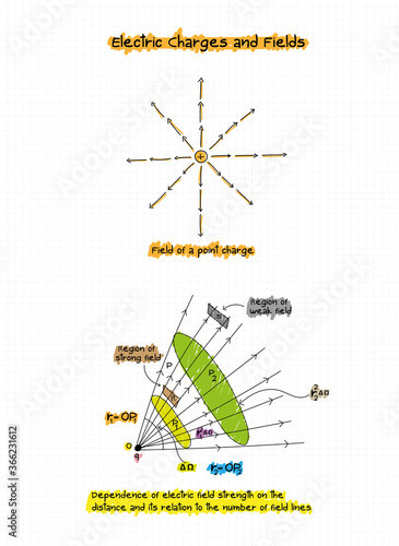 ELECTRIC FIELD LINES, physics, vector