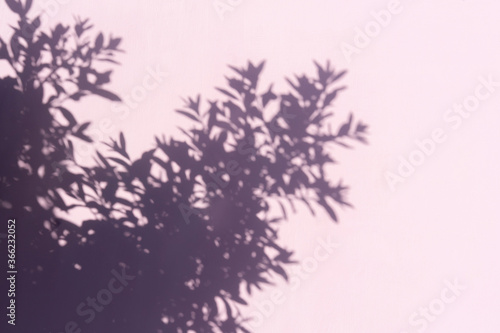 Abstract leaves shadow on pink background. © Татьяна Максимова