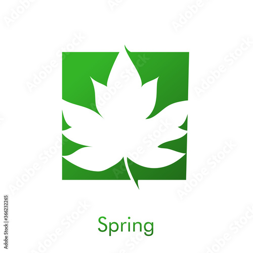Concepto temporada primaveral. Logotipo con palabra Spring con hoja de arce en cuadrado color verde