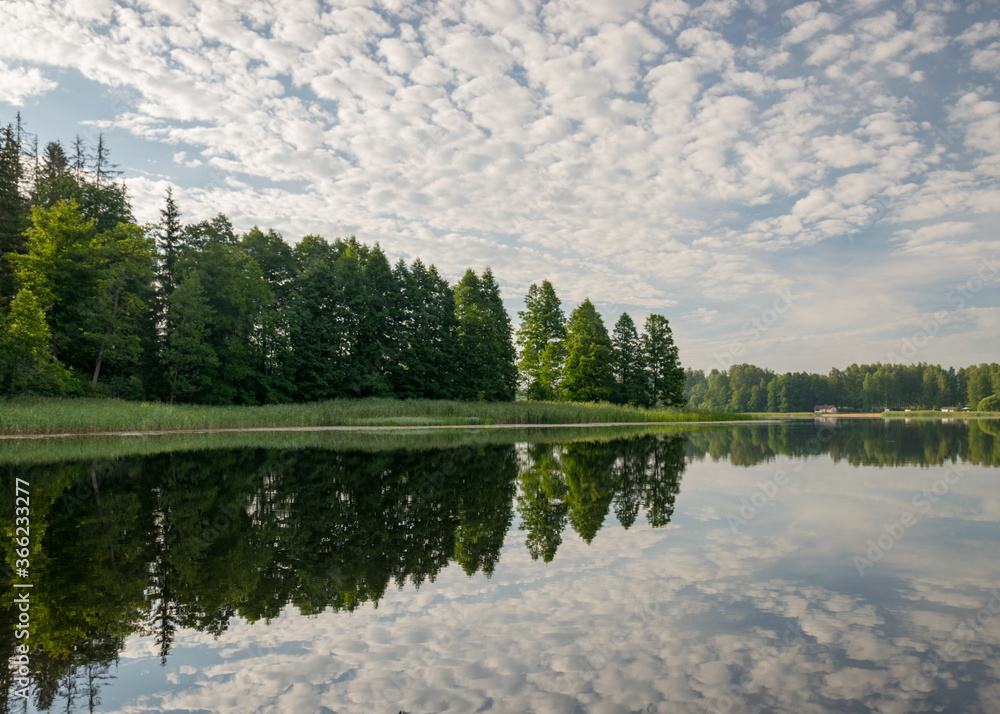 Fototapeta premium summer morning landscape on the lake, beautiful clouds and wonderful reflections in the lake mirror, summer morning by the water
