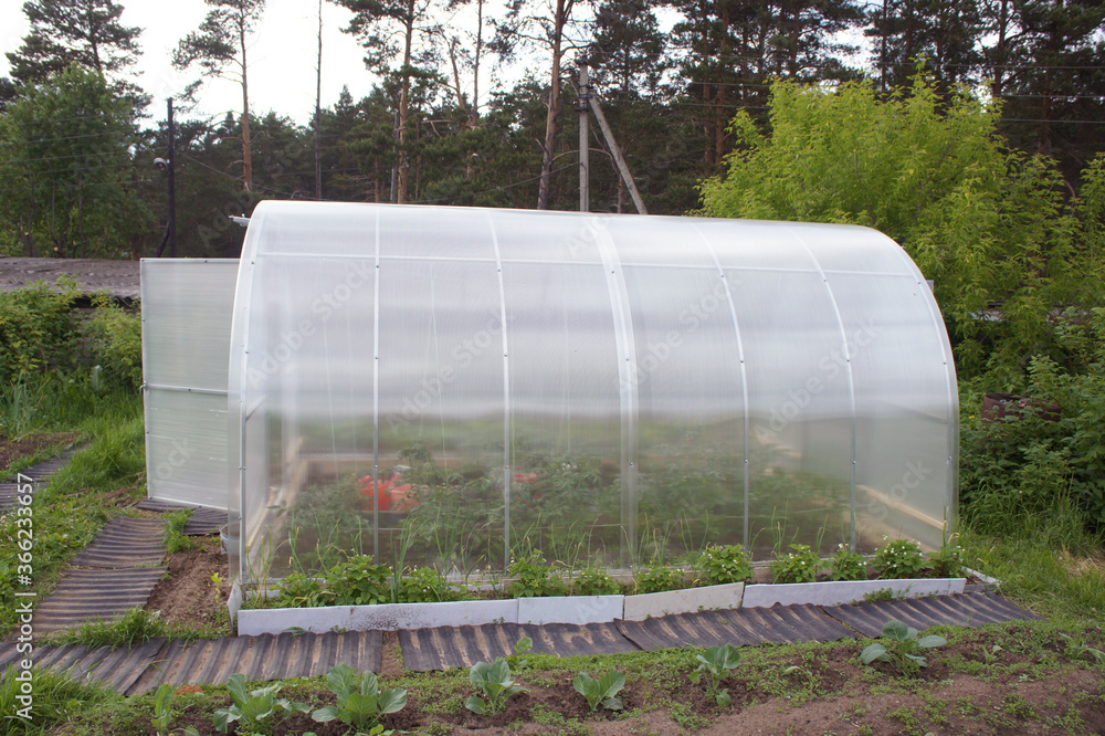 Greenhouse made of polycarbonate. greenhouse in the garden for growing vegetables, cucumbers, tomatoes, peppers. arc metal frame. Side view. Greenhouse made of polycarbonate. greenhouse in the garden for growing vegetables, cucumbers, tomatoes, peppers. arc metal frame. Side view.