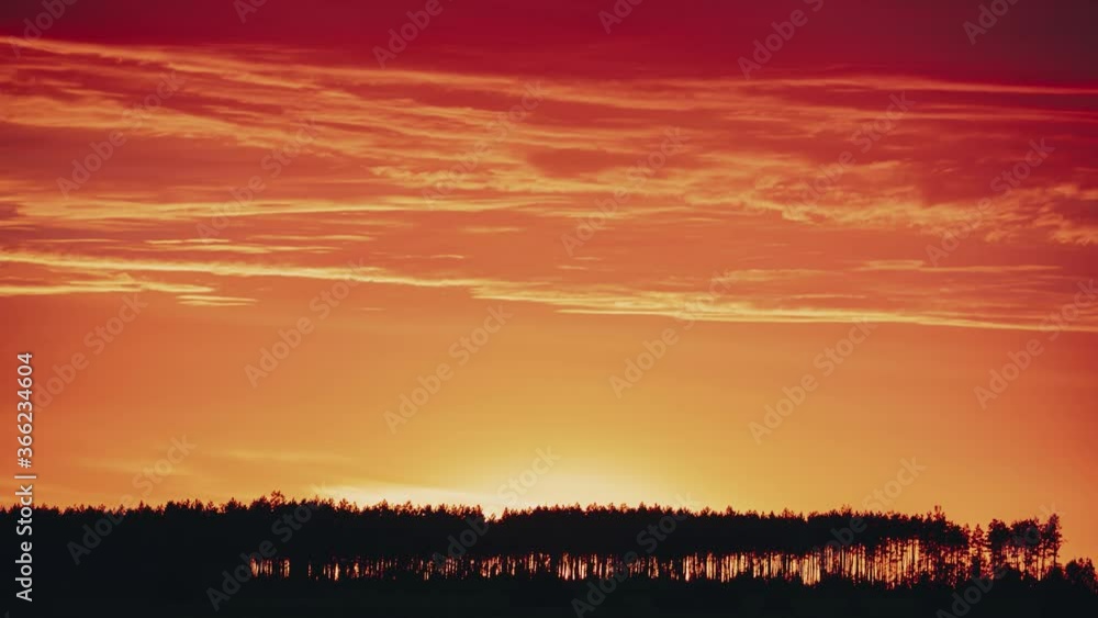 Sunset Sky Above Pine Forest. Sun Sunshine In Sunny Spring Coniferous Forest. Sunlight Sun Rays Shine Through Woods In Landscape. Bright Dramatic Sky And Dark Ground With Trees Silhouettes. 4K. Sunset Sky Above Pine Forest. Sun Sunshine In Sunny Spring Coniferous Forest. Sunlight Sun Rays Shine Through Woods In Landscape. Bright Dramatic Sky And Dark Ground With Trees Silhouettes. 4K.