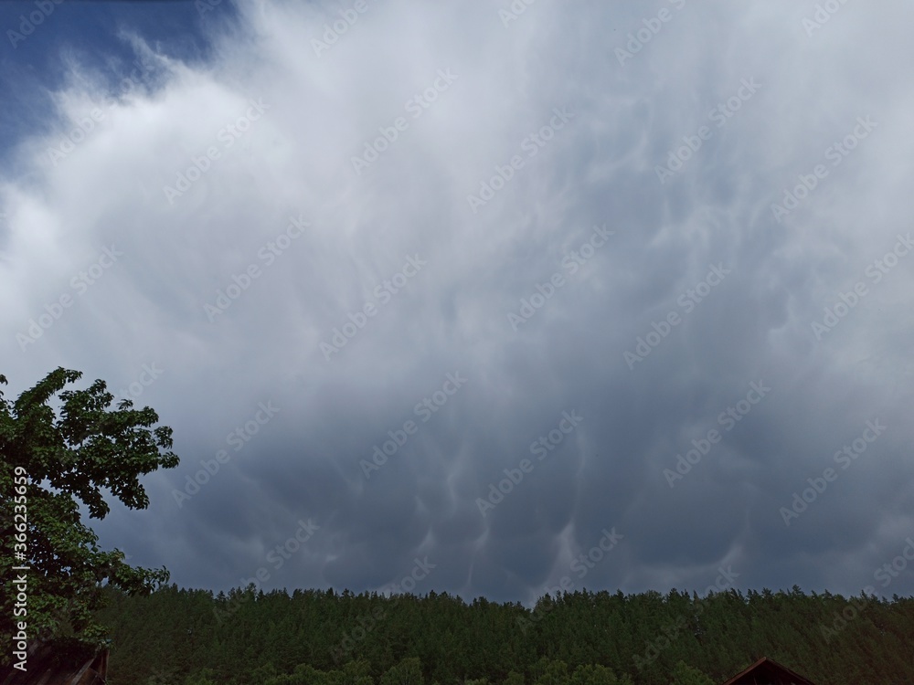 storm clouds over the forest