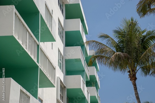 Close up shot of penthouses painted in green around the tropical palm trees photo