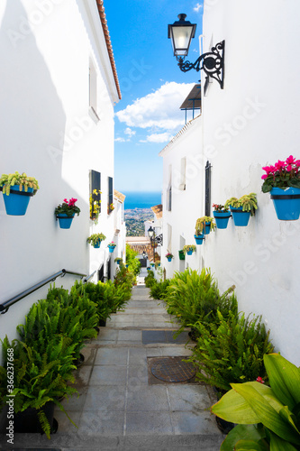 Calle con casas blancas, plantas y mar Mediterraneo al fondo en Mijas, Málaga