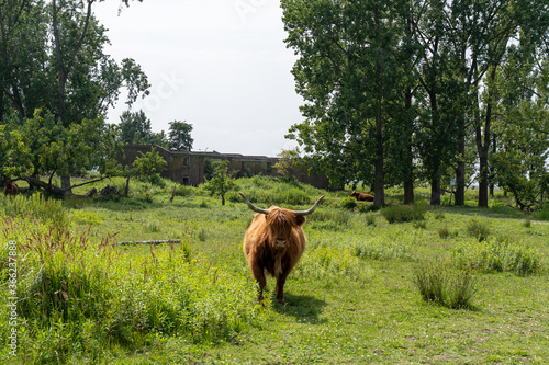 Tiengemeten, The Netherlands
 photo