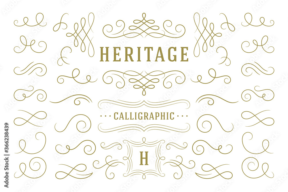 Calligraphic design elements vintage ornaments swirls and scrolls ornate decorations vector design elements.